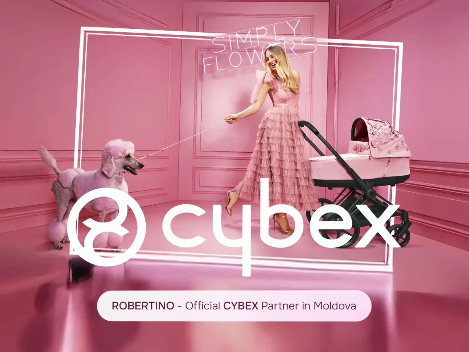 banner cybex